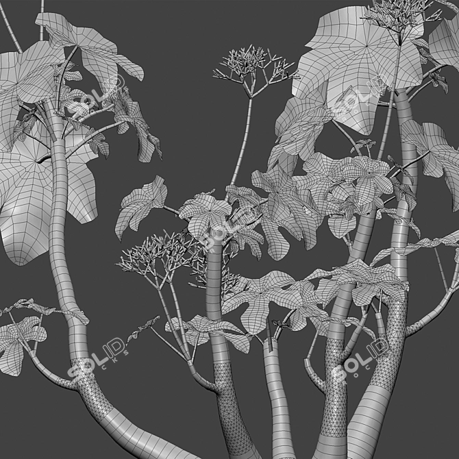 Versatile 3D Plant Models Collection 3D model image 5