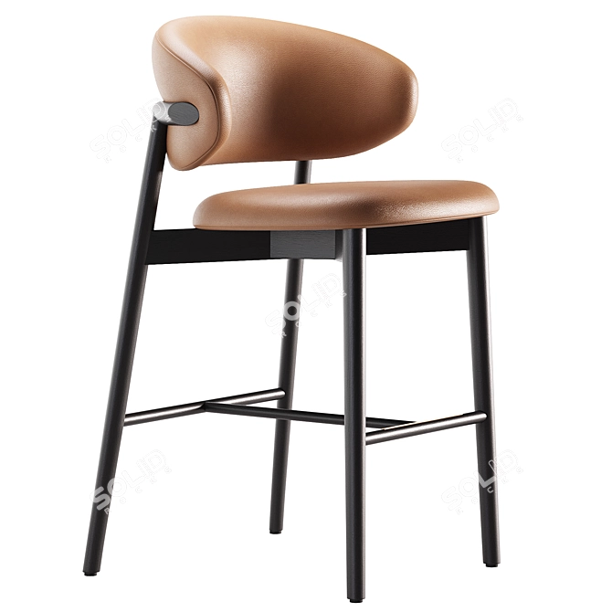 Modern Oleandro Chair with Textures 3D model image 2