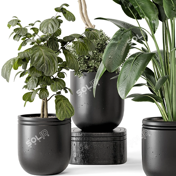 Rusty Concrete Pot Indoor Plants 3D model image 4