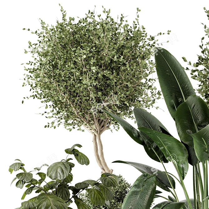 Rusty Concrete Pot Indoor Plants 3D model image 5