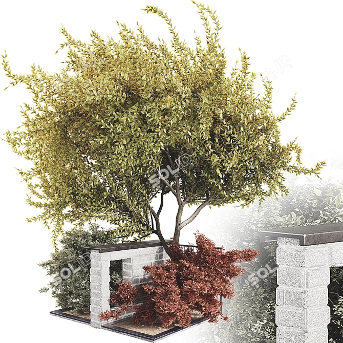 Outdoor Plant 3D Model Collection 3D model image 1