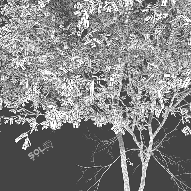 Alder Trees Pack: Vray Material 3D model image 6