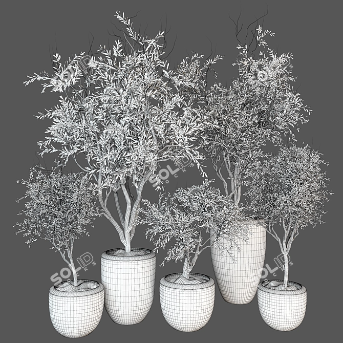 Luxury Indoor Plant 3D Model 3D model image 4