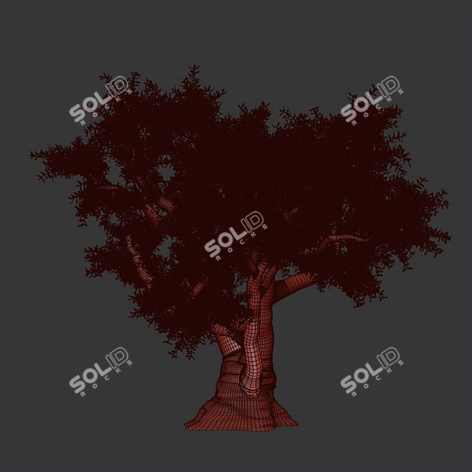 VRay Olive Tree 3D Model 3D model image 3