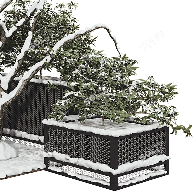 Snowy Garden Plant Set 3D 3D model image 4