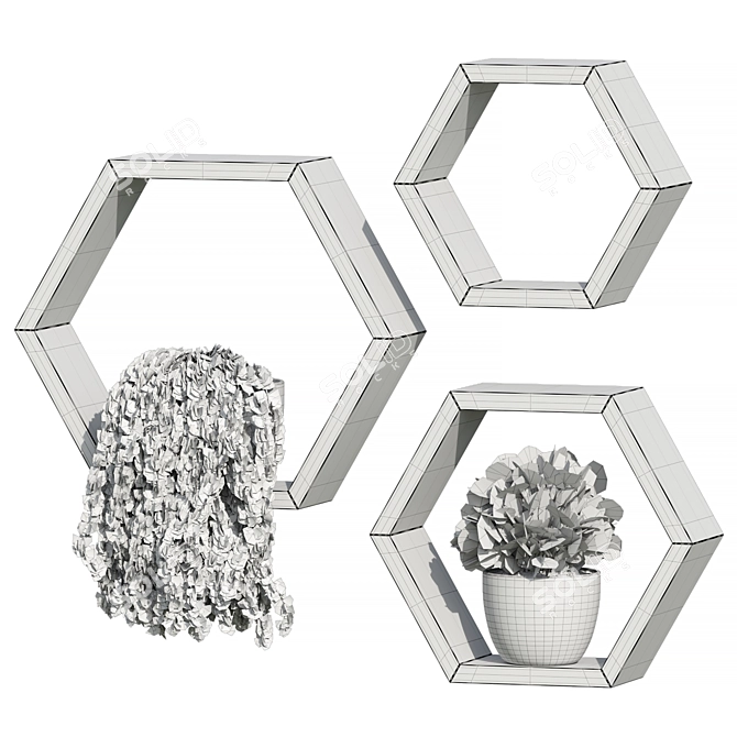 Natural Wood Hexagon Shelves Organic 3D model image 3