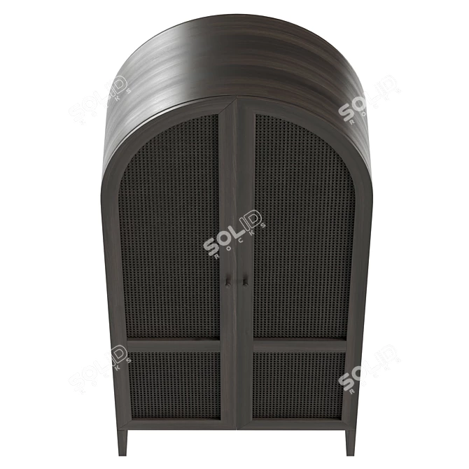 Modern Cane Storage Cabinet Organizer 3D model image 3