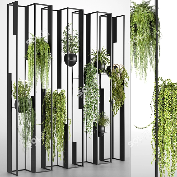  Botanical Partition Collection 3D model image 1