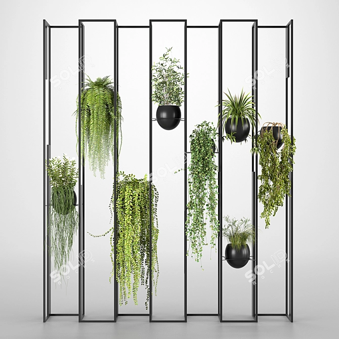 Botanical Partition Collection 3D model image 2