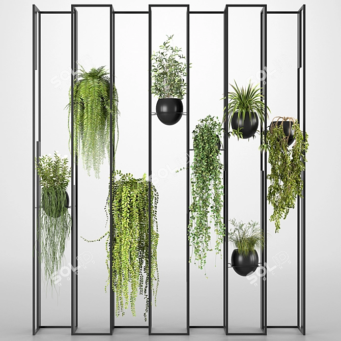  Botanical Partition Collection 3D model image 5