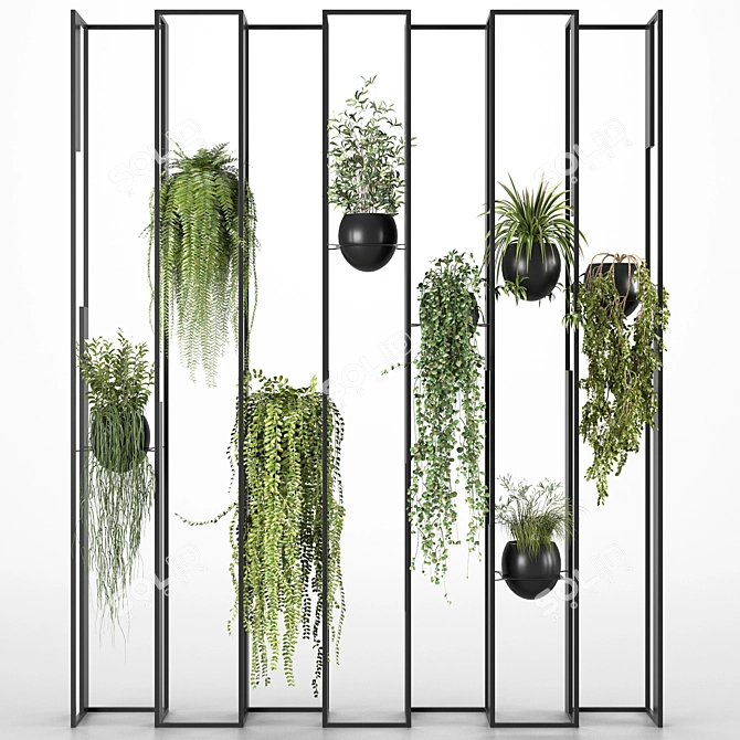  Botanical Partition Collection 3D model image 9
