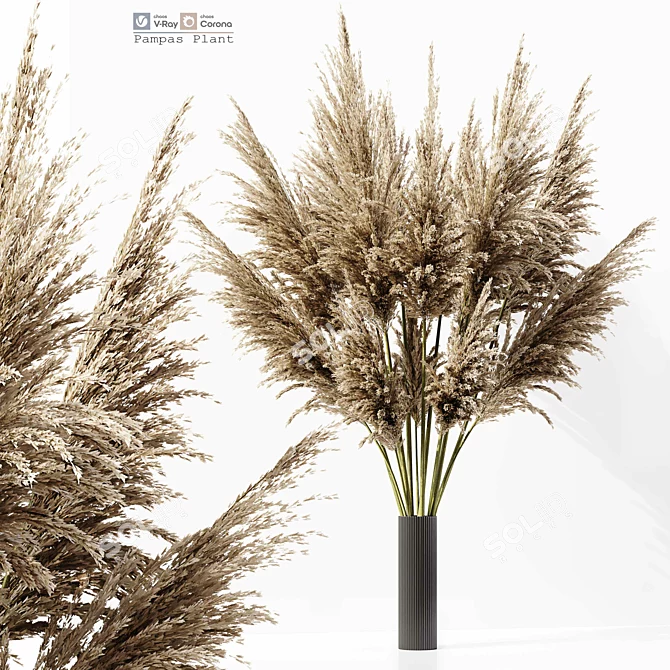 Elegant Pampas Plant 3D Model 3D model image 1