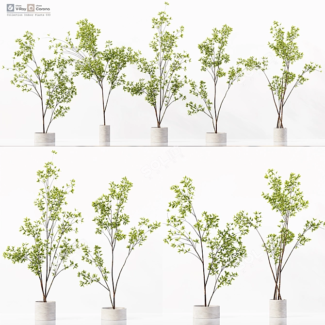 Premium Indoor Plant Collection Set 3D model image 1