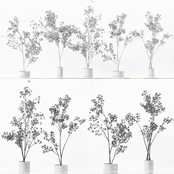 Premium Indoor Plant Collection Set 3D model image 7