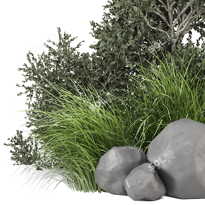 Outdoor Bush Plants Set 685 3D model image 2