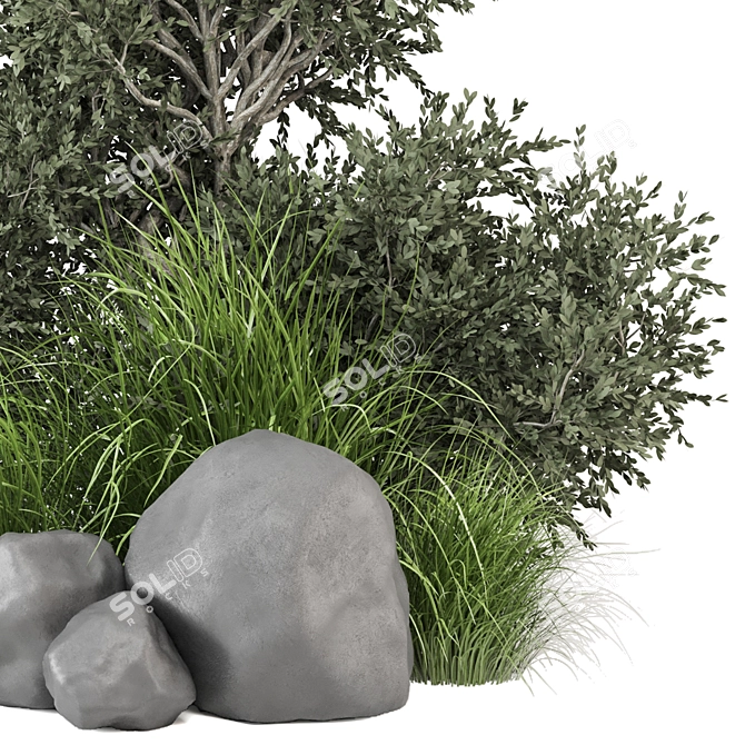 Outdoor Bush Plants Set 685 3D model image 3