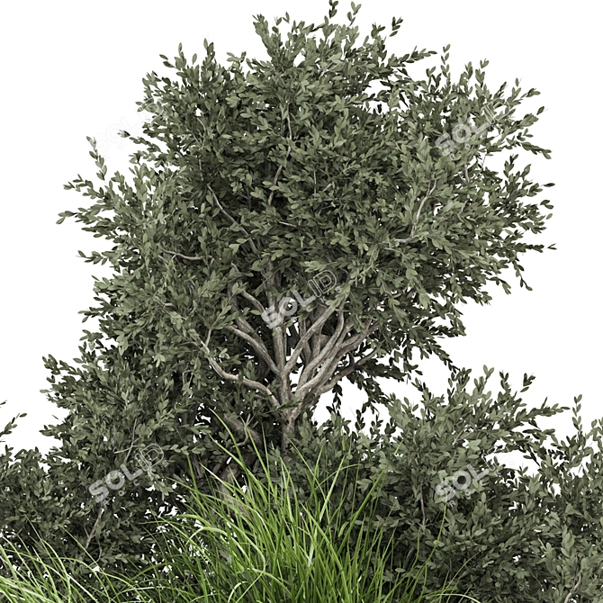 Outdoor Bush Plants Set 685 3D model image 4