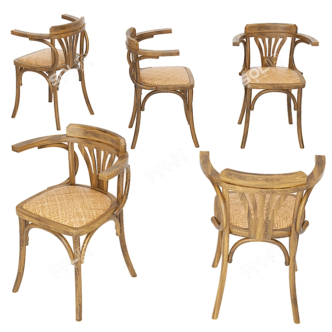 Antique Natural Wooden Vienna Chair 3D model image 5