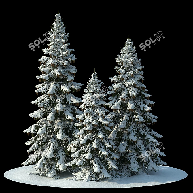 Snowy Winter Spruces Scene 3D model image 5