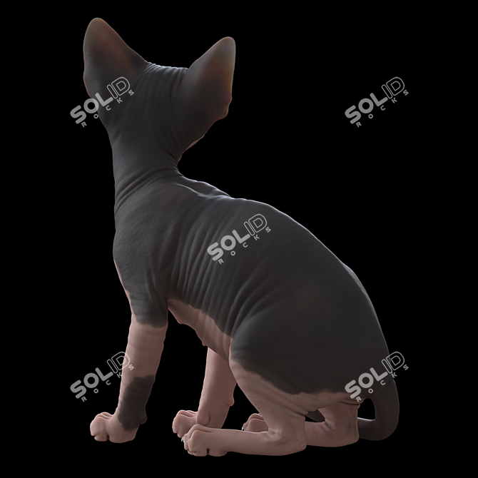 Sphynx Model Kitten: 287mm Height 3D model image 3