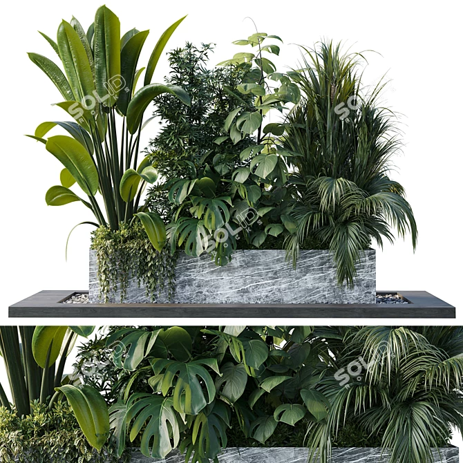 Outdoor Tree Shrub Plant Set 3D model image 2