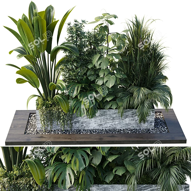 Outdoor Tree Shrub Plant Set 3D model image 3