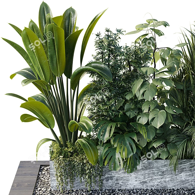 Outdoor Tree Shrub Plant Set 3D model image 5