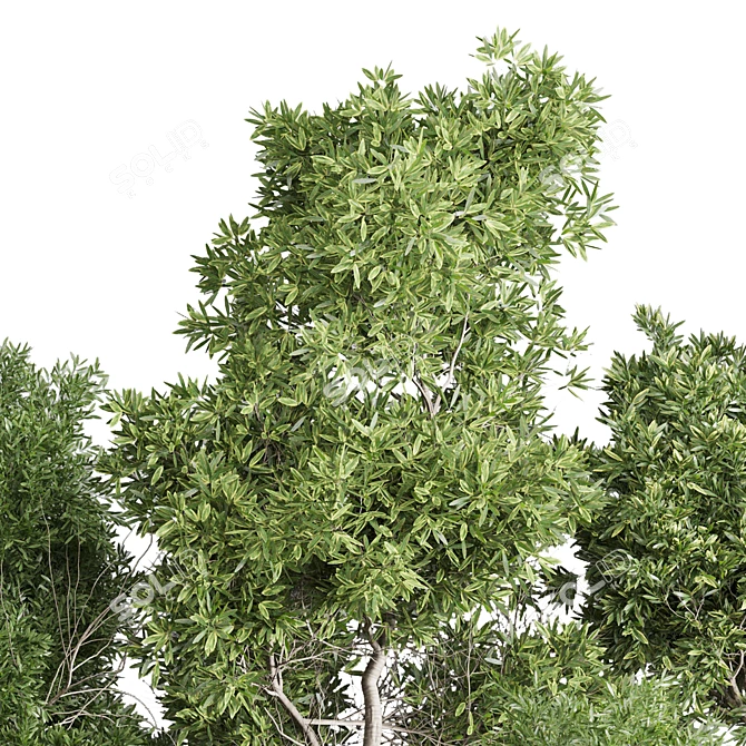 Greenery Set 144 Corona Pot 3D model image 5