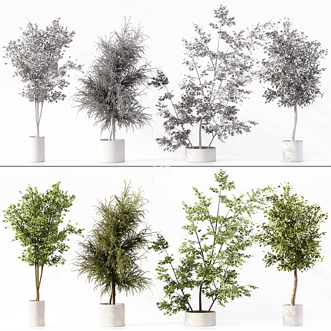 Premium Indoor Plant Collection Model 3D model image 7