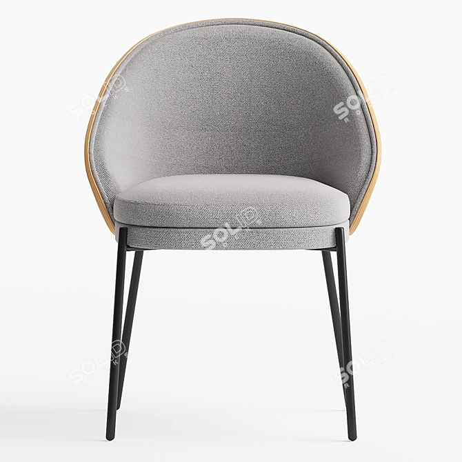 Eamy Light Grey Ash Chair 3D model image 2
