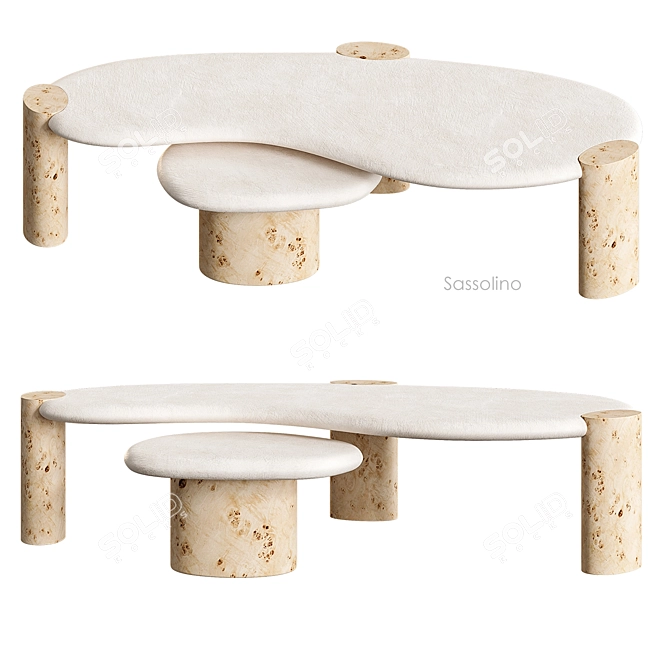 Sassolino Concrete Burl Wood Tables 3D model image 2