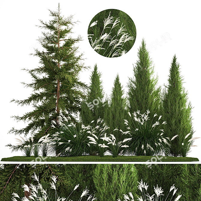  Urban Greenery Collection - Conifers & Grasses 3D model image 1