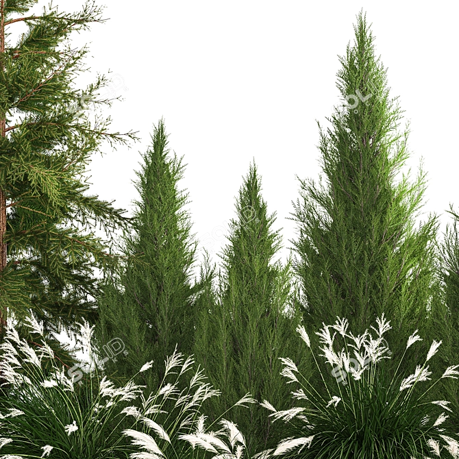  Urban Greenery Collection - Conifers & Grasses 3D model image 5