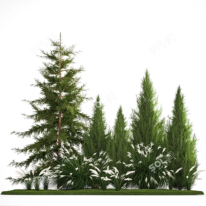  Urban Greenery Collection - Conifers & Grasses 3D model image 6