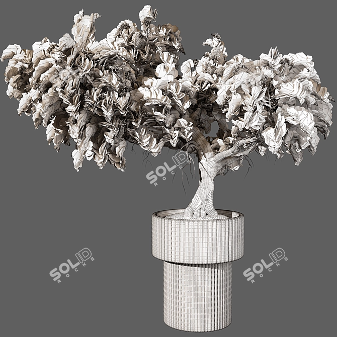 Modern Indoor Plant 3D Model 3D model image 3