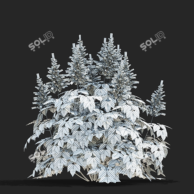 Japanese Pink Astilbe Collection 3D model image 5