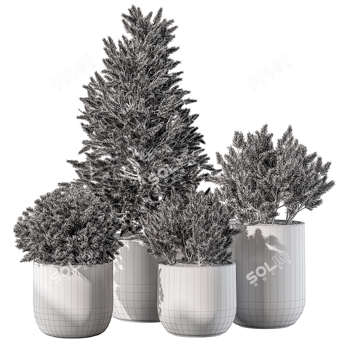 Pine Plants for Outdoor greenery 3D model image 6