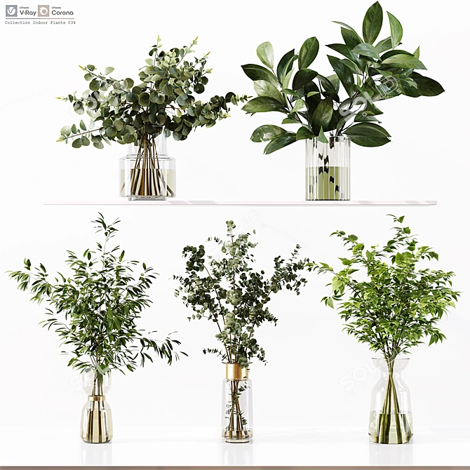 Premium Indoor Plant Collection Model 3D model image 1