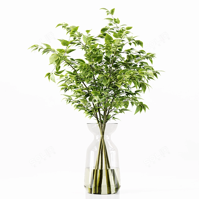 Premium Indoor Plant Collection Model 3D model image 2