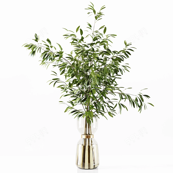 Premium Indoor Plant Collection Model 3D model image 4