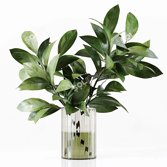 Premium Indoor Plant Collection Model 3D model image 6
