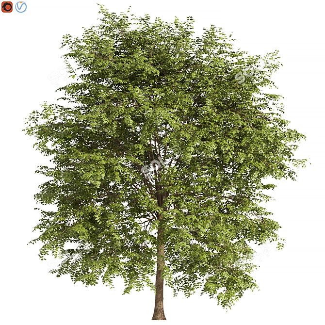 Outdoor Oasis Tree Decor 5 3D model image 1