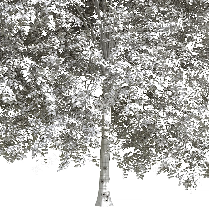 Outdoor Oasis Tree Decor 5 3D model image 2