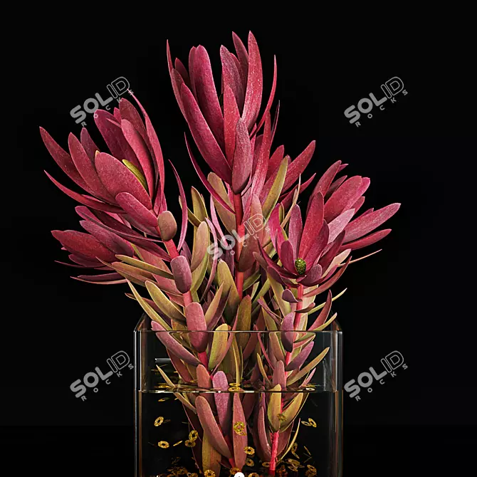 Modern Plant 3D Model Kit 3D model image 3