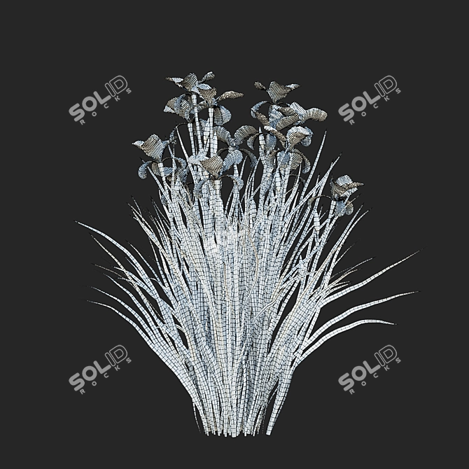 Siberian Iris 3D Models Collection 3D model image 5