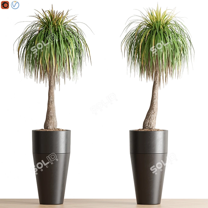  Lush Green Indoor Plant 3D model image 1