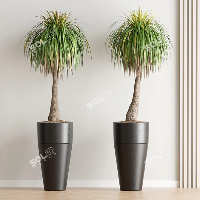  Lush Green Indoor Plant 3D model image 2