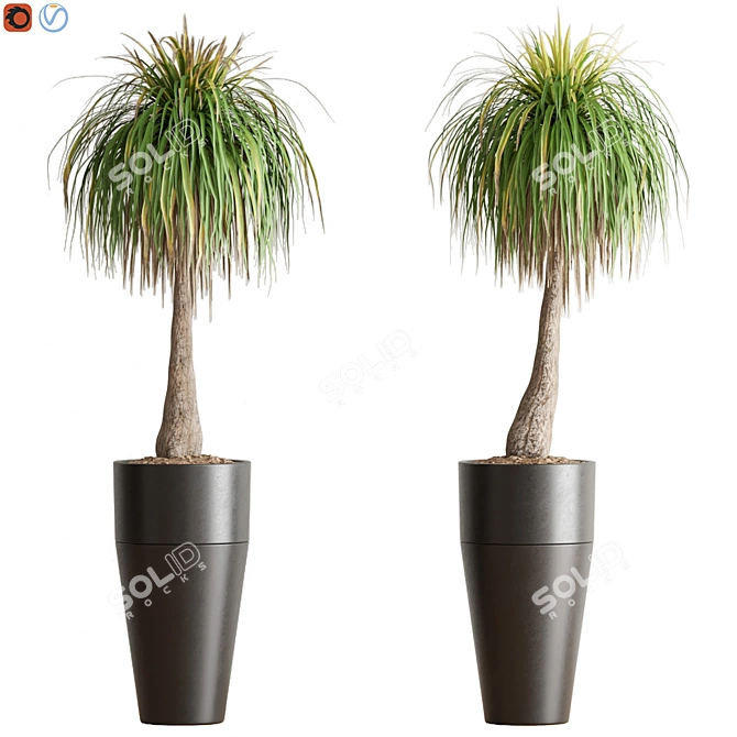  Lush Green Indoor Plant 3D model image 4