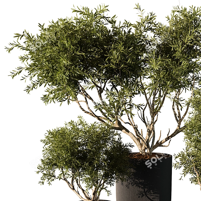 Modern Indoor Plant 211 Render 3D model image 2