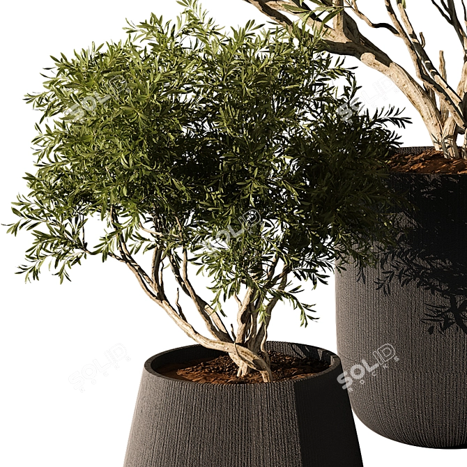 Modern Indoor Plant 211 Render 3D model image 3